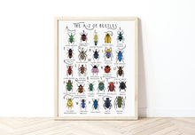 Load image into Gallery viewer, A-Z of Beetles Poster
