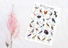 Load image into Gallery viewer, A-Z of Birds Poster
