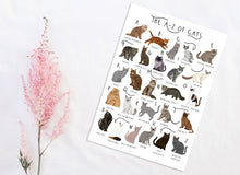 Load image into Gallery viewer, A-Z of Cats Poster
