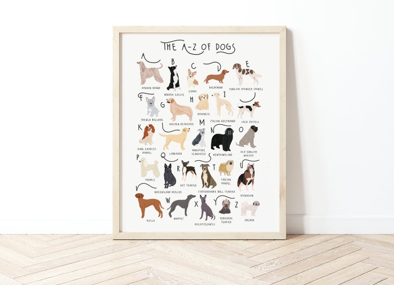 A-Z of Dogs Poster – Bea Baranowska Illustration