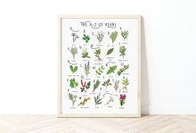 Load image into Gallery viewer, A-Z of Herbs Poster
