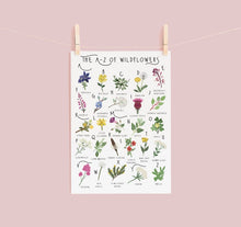 Load image into Gallery viewer, A-Z of Wildflowers Poster

