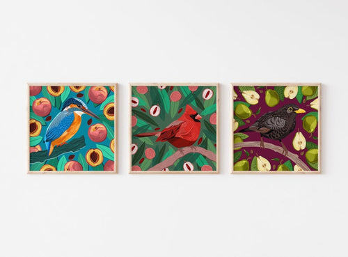 Mix and Match Any 3 Bird and Fruit Prints