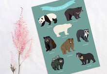 Load image into Gallery viewer, Bears of the World Print
