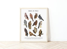 Load image into Gallery viewer, Birds of Prey Print
