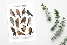 Load image into Gallery viewer, Birds of Prey Print
