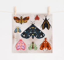 Load image into Gallery viewer, Moths Print
