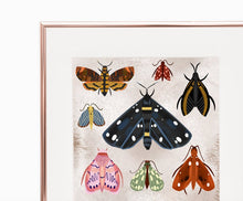 Load image into Gallery viewer, Moths Print
