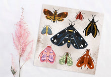 Load image into Gallery viewer, Moths Print
