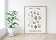 Load image into Gallery viewer, British Birds Eggs Print
