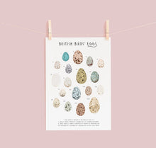 Load image into Gallery viewer, British Birds Eggs Print
