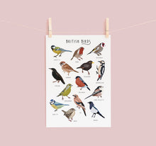 Load image into Gallery viewer, British Birds Print
