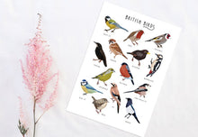 Load image into Gallery viewer, British Birds Print
