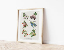 Load image into Gallery viewer, British Hedgerow Print
