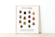 Load image into Gallery viewer, British Ladybirds Print
