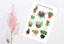 Load image into Gallery viewer, Cacti and Succulents Print
