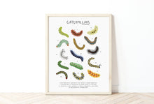Load image into Gallery viewer, Caterpillar Print
