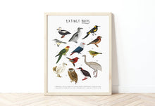 Load image into Gallery viewer, Extinct Birds Print

