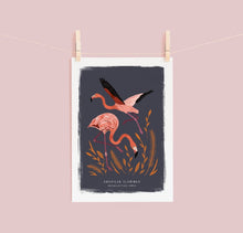 Load image into Gallery viewer, American Flamingo Print
