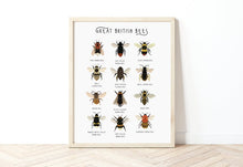 Load image into Gallery viewer, Great British Bees Print
