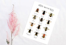 Load image into Gallery viewer, Great British Bees Print
