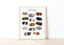Load image into Gallery viewer, Guinea Pig Print
