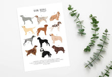 Load image into Gallery viewer, Gun Dogs Print
