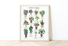 Load image into Gallery viewer, House Plants Print

