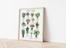 Load image into Gallery viewer, House Plants Print
