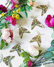 Load image into Gallery viewer, Large Moth Vinyl Sticker
