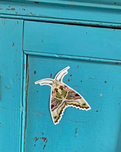 Load image into Gallery viewer, Large Moth Vinyl Sticker
