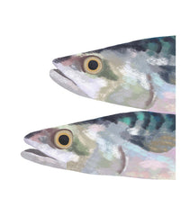 Load image into Gallery viewer, Mackerel Print
