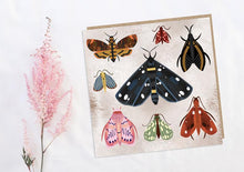 Load image into Gallery viewer, Moths Card
