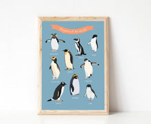 Load image into Gallery viewer, Penguins of the World Print
