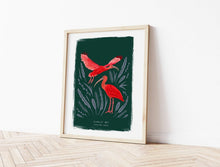 Load image into Gallery viewer, Scarlet Ibis Print

