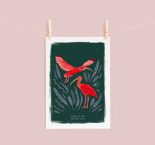 Load image into Gallery viewer, Scarlet Ibis Print
