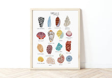Load image into Gallery viewer, Sea Shells Print
