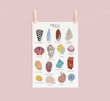Load image into Gallery viewer, Sea Shells Print
