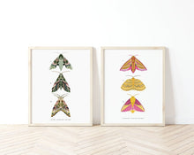 Load image into Gallery viewer, Set of 2 Trio of Moths Prints
