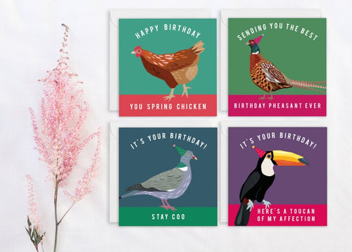 Set of 4 Funny Bird Birthday Cards