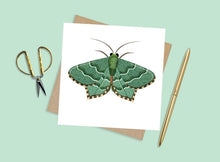 Load image into Gallery viewer, Set of 6 Moth Cards
