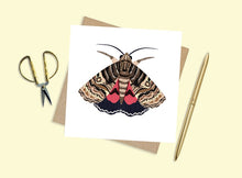 Load image into Gallery viewer, Set of 6 Moth Cards
