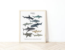 Load image into Gallery viewer, Sharks Print
