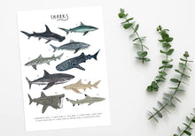 Load image into Gallery viewer, Sharks Print
