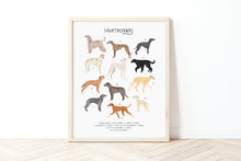 Load image into Gallery viewer, Sighthounds Print
