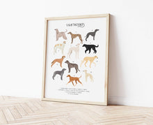 Load image into Gallery viewer, Sighthounds Print
