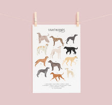 Load image into Gallery viewer, Sighthounds Print
