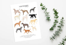 Load image into Gallery viewer, Sighthounds Print
