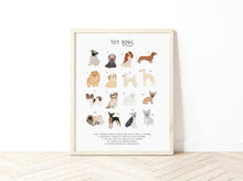 Load image into Gallery viewer, Toy Dog Breeds Print
