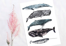 Load image into Gallery viewer, Whales Stack Print
